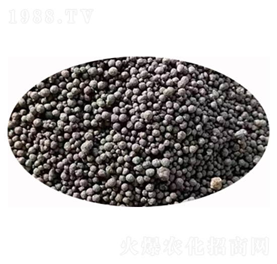 ΢��������w��-�l(f��)ؔ��