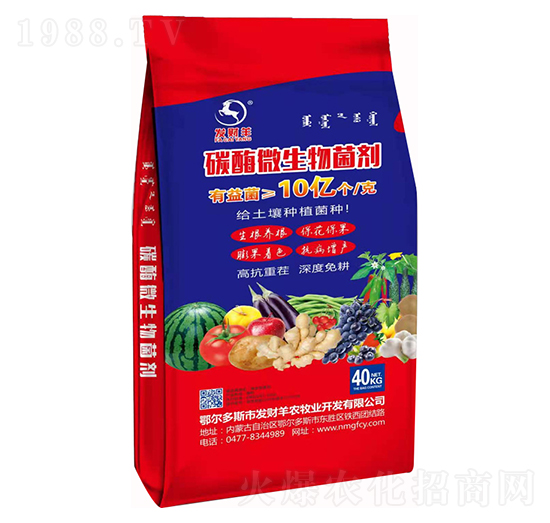 10�|��̼ø΢�������-�l(f��)ؔ��