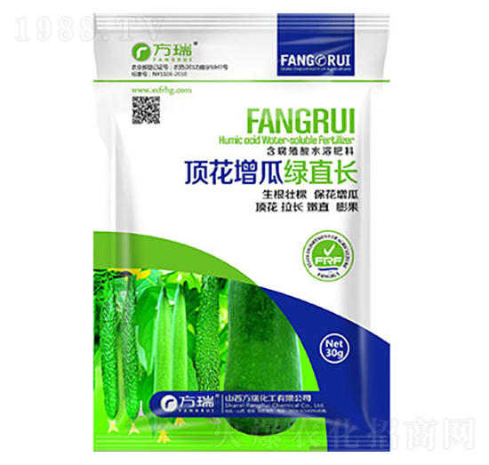 頂花增瓜綠直長(zhǎng)-方瑞