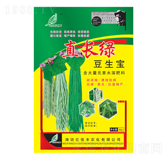 直長綠豆生寶-億佳豐
