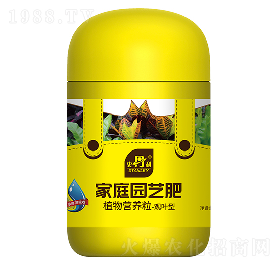 觀葉型植物營養(yǎng)粒-史丹利