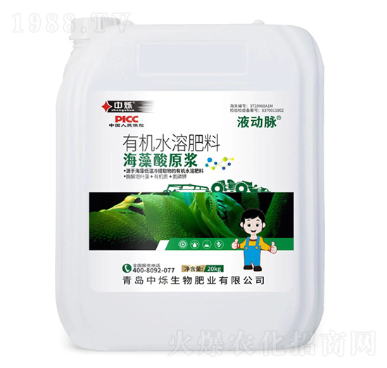 海藻酸原漿-液動脈-中爍生物