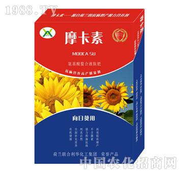 տ(zhun)ðҺķ-Ħ-(qing)о(gu)H