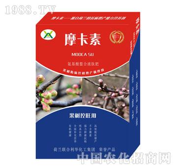 (sh)(zhun)ðҺķ-Ħ-(qing)о(gu)H
