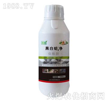 20%x-ڰ-읙(rn)