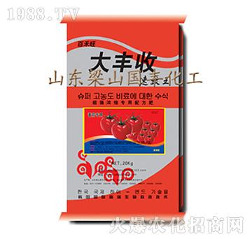 番茄專用-大豐收-梁山國(guó)豐