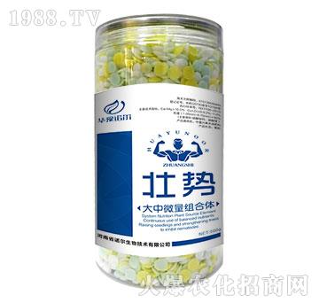大中微量組合體-壯勢-諾爾