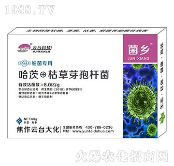 細菌專用菌鄉(xiāng)-云臺大化