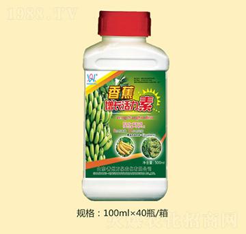 香蕉增長(zhǎng)活力素-萬(wàn)泉農(nóng)化