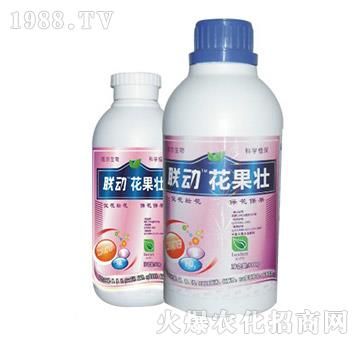 -(lin)(dng)-?tng)? />
                                </div>
                            </div>
                            
                            <style type=