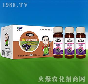 茄子拉長膨大黑紫靚-胖管家-艾普生