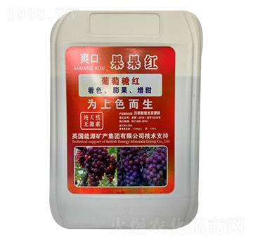 �����t-ˬ��-�µ����