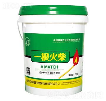 碩果滿枝-一根火柴-匯滋潤鑫