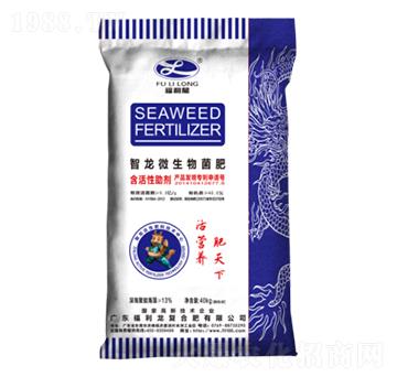 ����΢�������-������