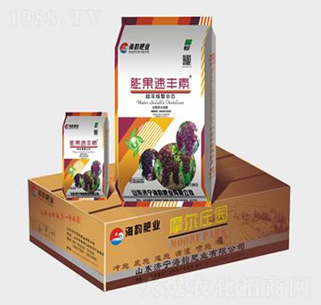 ������S��-Ħ���f�@-