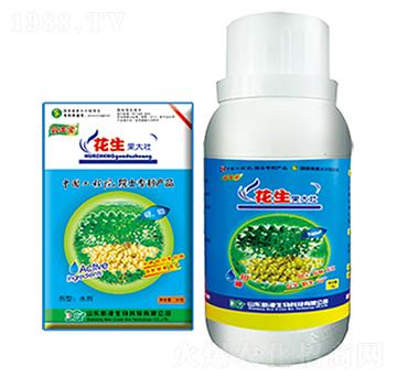 (zhun)--¸