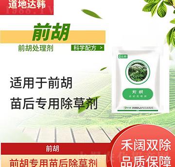 ǰ݄-ǰ-ǰ(zhun)-n