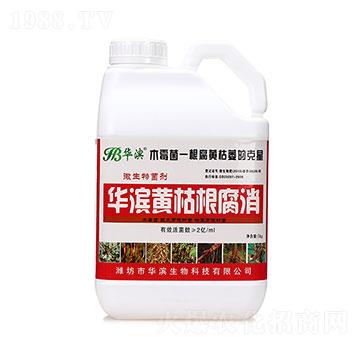 黃枯根腐消-華濱