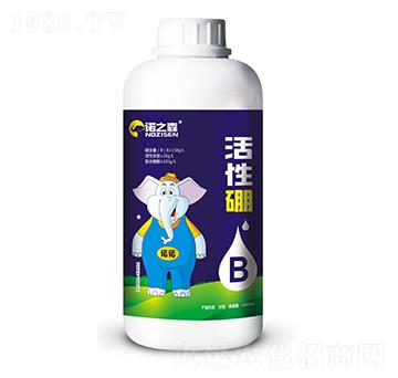 活性硼 諾之森