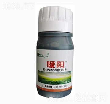 植物防凍劑-暖陽(yáng)-金大地