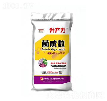 含菌顆粒水溶肥-菌威粒-升產力