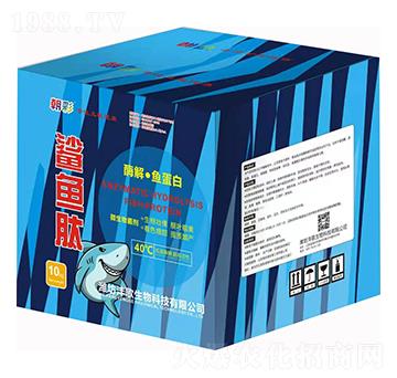酶解·魚(yú)蛋白-鯊魚(yú)肽-灃歌生物