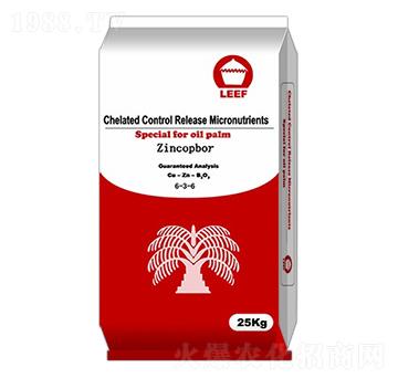 �~�\��6-3-6-�Ŷ�-�����Ƽ�