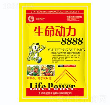 (dng)8888-S