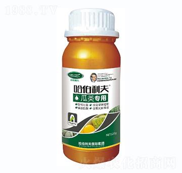 ���(l��i)����-��������