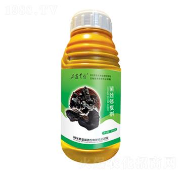 ���z�ޏ�(f��)��-���_