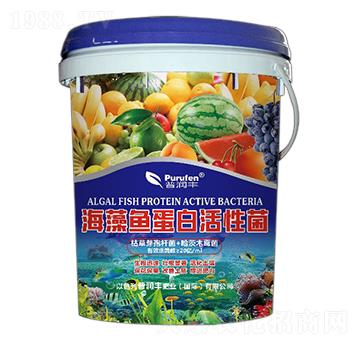 �����~���׻��Ծ�-�՝��S