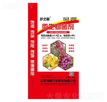 80%微生物菌劑-護之霸-神譽農業(yè)