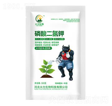 500g-