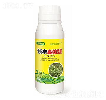 L(zhng)Sޣ-G-L(zhng)S