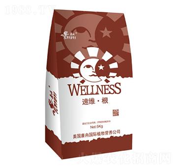 速維·根-康冉國際
