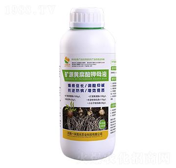 礦源黃腐酸鉀母液-一米陽(yáng)光