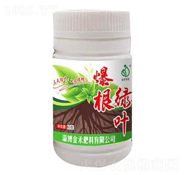 爆根綠葉-金禾