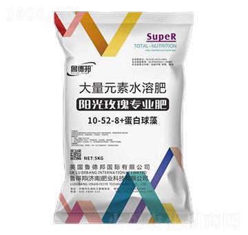 陽(yáng)光玫瑰專(zhuān)用大量元素水溶肥料10-52-8+蛋白球藻-魯?shù)掳? />
</div>
</div>
<style type=
