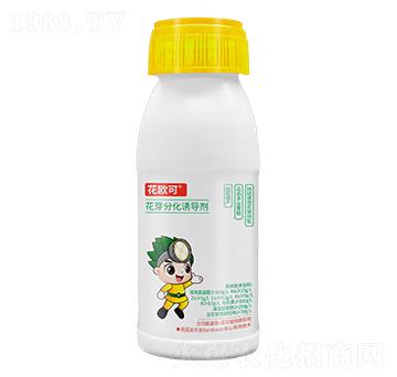 ѿֻT100g-W-ع
