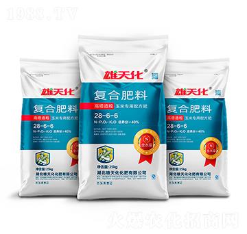 ͺϷ28-6-6-컯