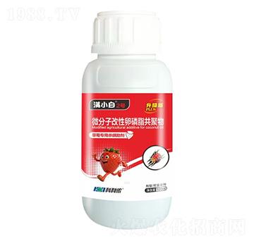 ��ݮ���Ú�������-�MС��2̖(h��o)-�����r(n��ng)