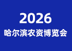 2026�����I�r(n��ng)�Y���[��
